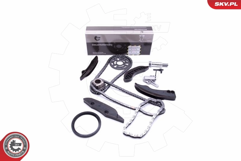 Timing Chain Kit